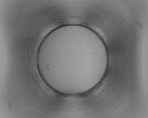 X0000115310673200911231330