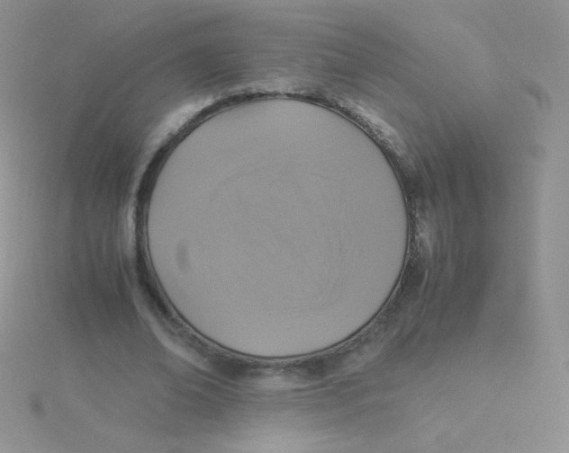 X0000115310678200911231330