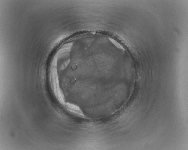 X0000115310679200911231330