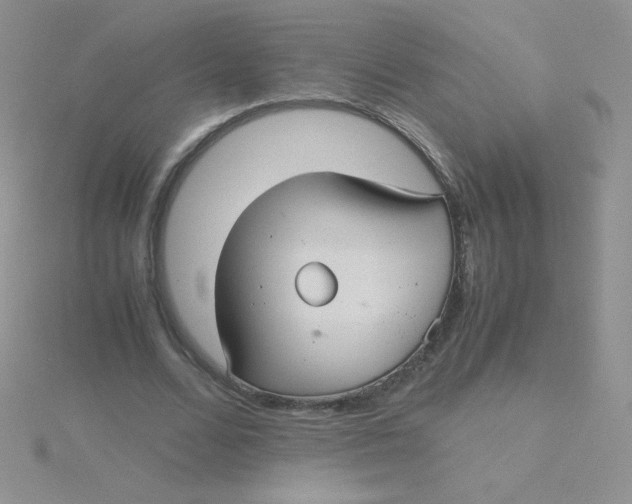 X0000115310680200911231330