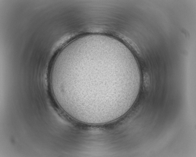 X0000115310682200911231330