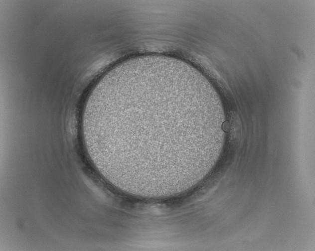 X0000115310683200911231330