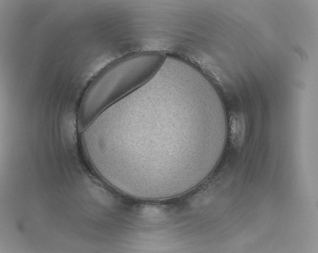 X0000115310684200911231330