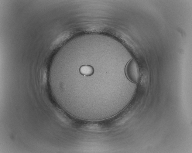 X0000115310685200911231330