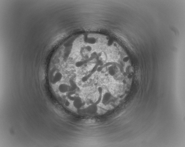 X0000115310687200911231330