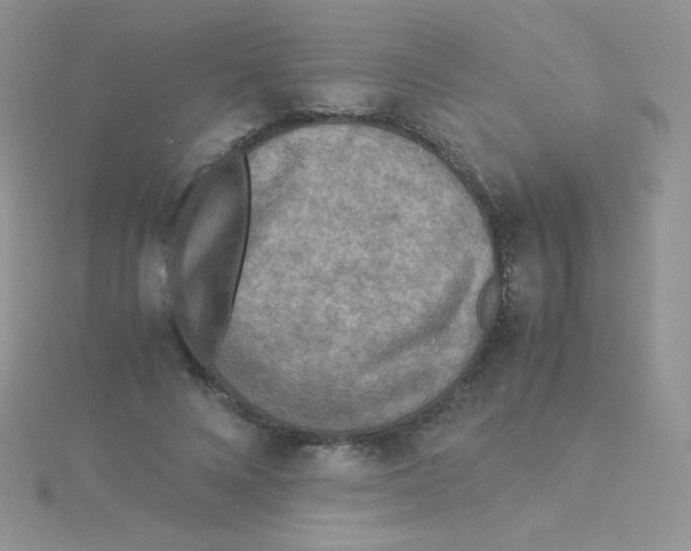 X0000115310688200911231330