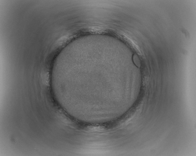 X0000115310689200911231330