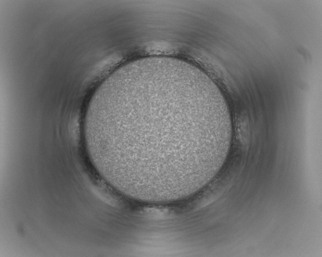 X0000115310690200911231330