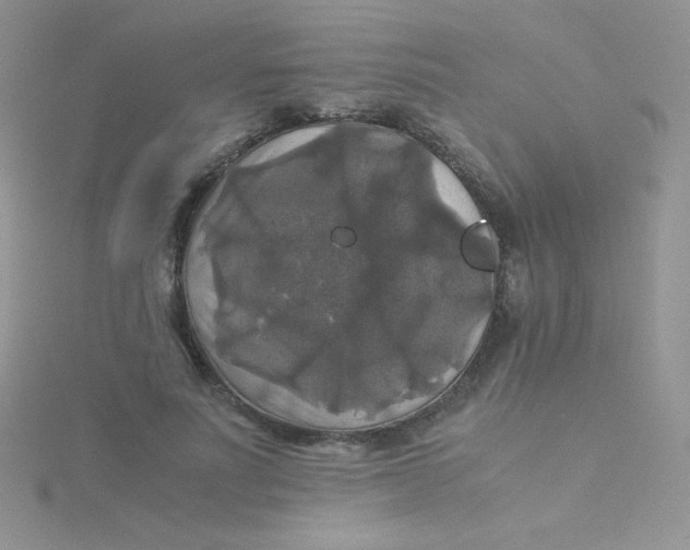 X0000115310691200911231330