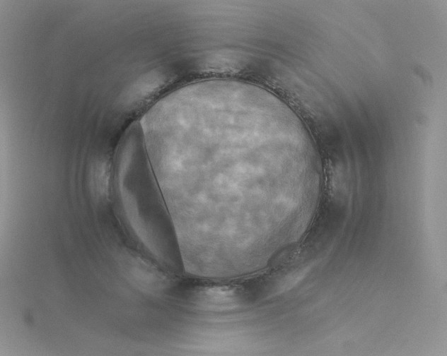 X0000115310692200911231330