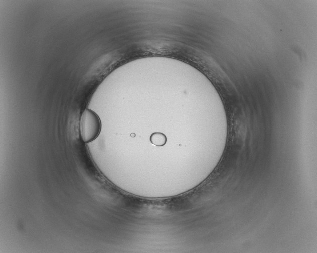 X0000115310694200911231330