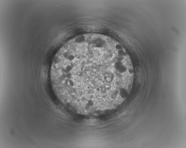 X0000115310695200911231330