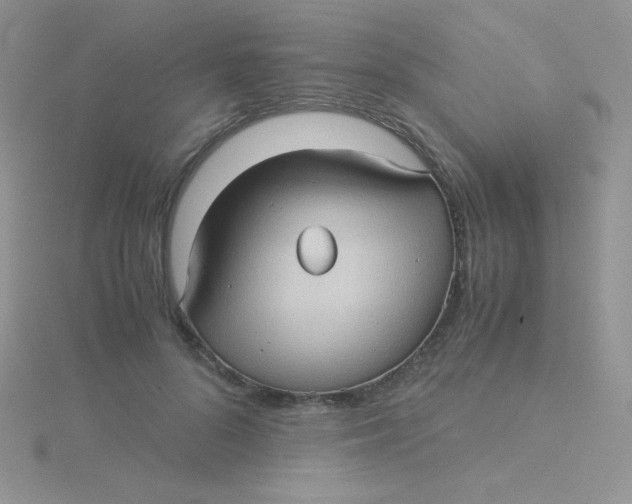 X0000115310696200911231330