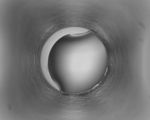 X0000115310697200911231330