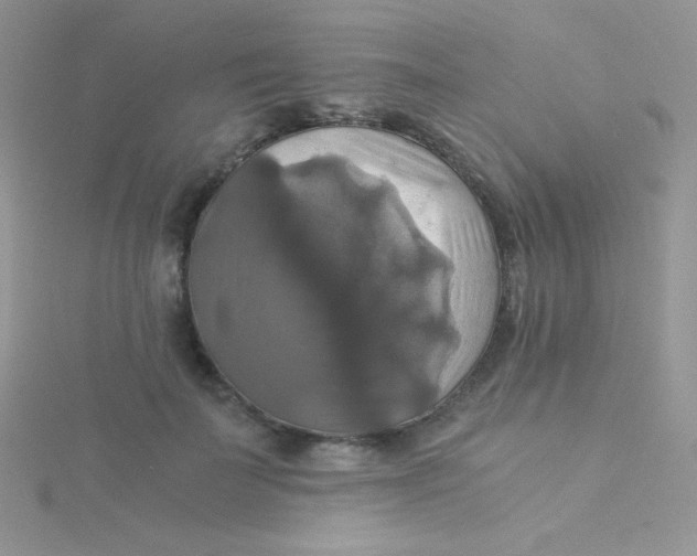 X0000115310699200911231329