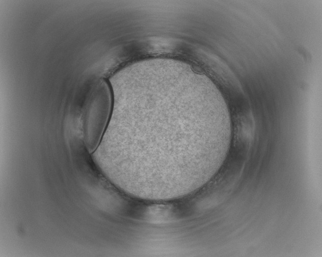 X0000115310700200911231329