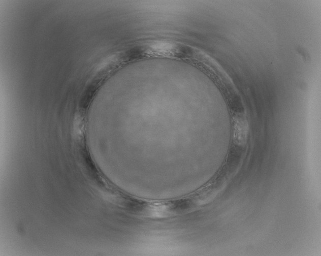 X0000115310701200911231329