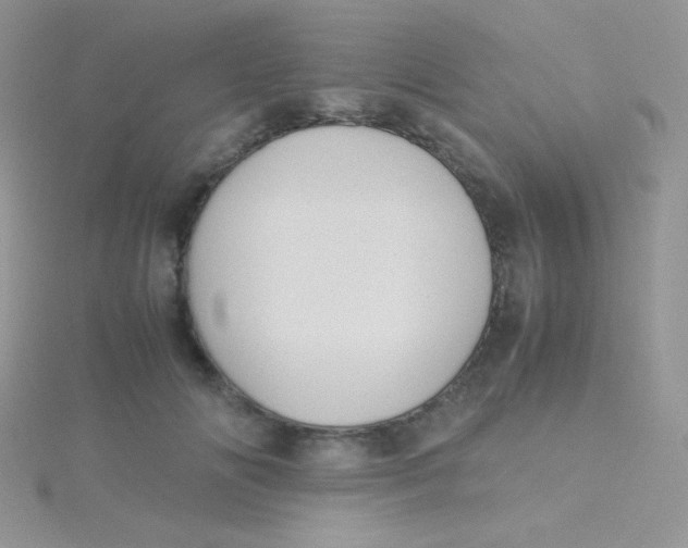 X0000115310702200911231329