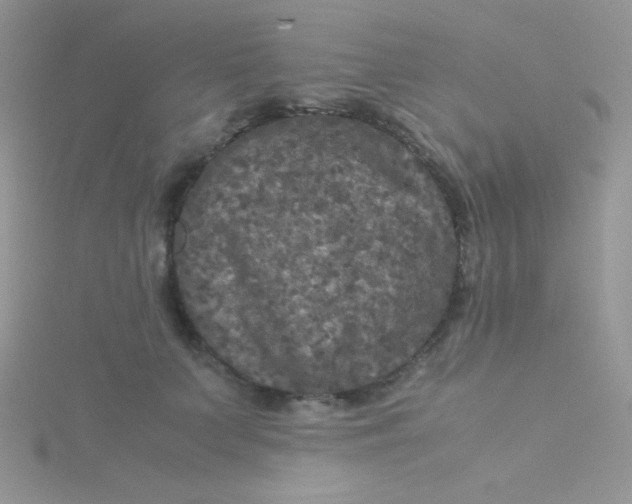 X0000115310703200911231329