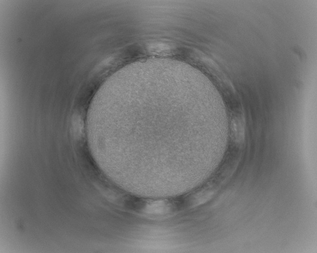 X0000115310705200911231329