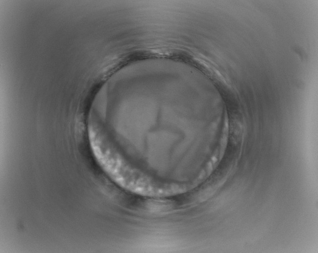 X0000115310707200911231329