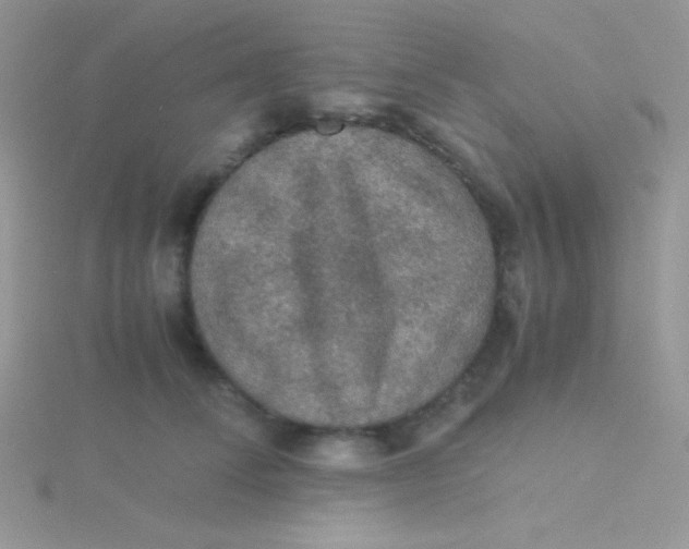 X0000115310708200911231329