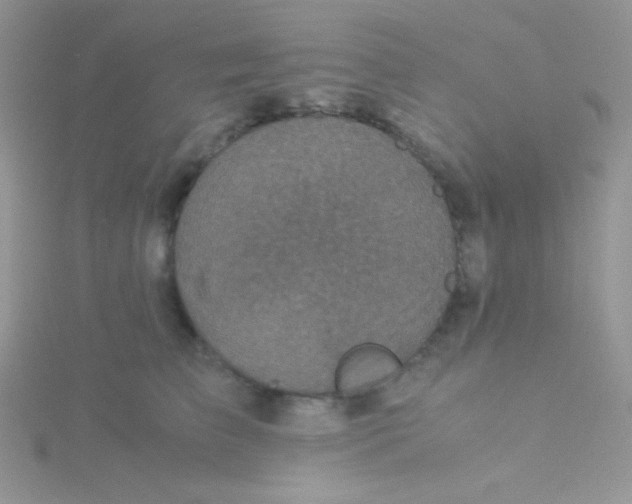 X0000115310709200911231329