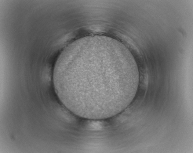 X0000115310710200911231329