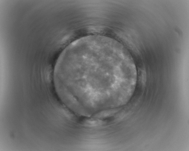 X0000115310712200911231329