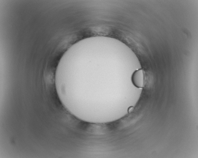 X0000115310713200911231329