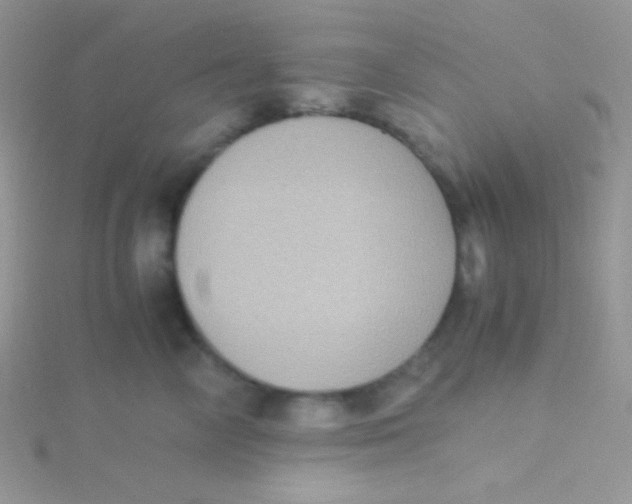 X0000115310714200911231329