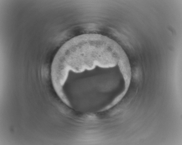 X0000115310715200911231329