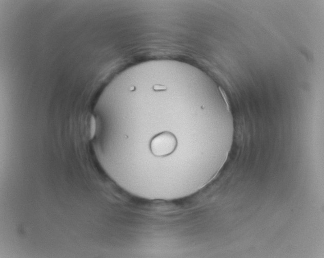 X0000115310716200911231329