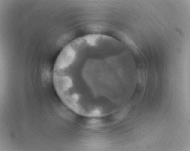 X0000115310718200911231329