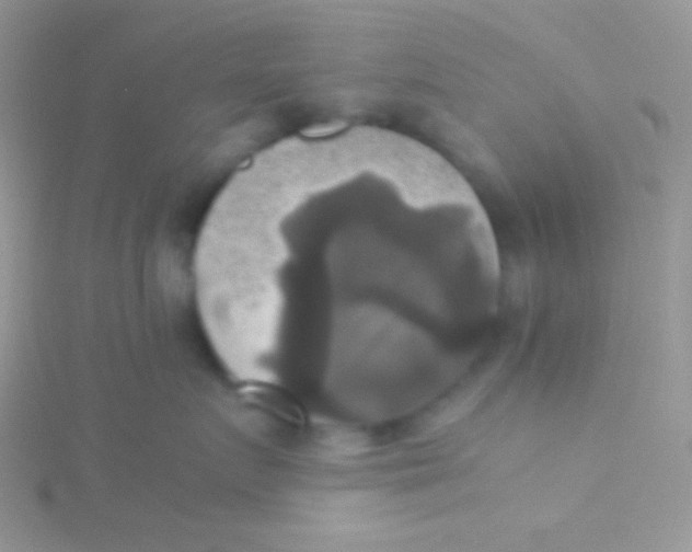 X0000115310719200911231329