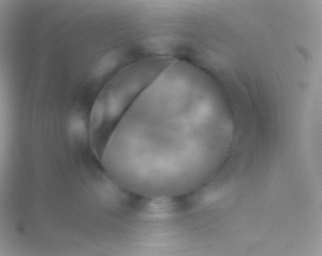 X0000115310720200911231329