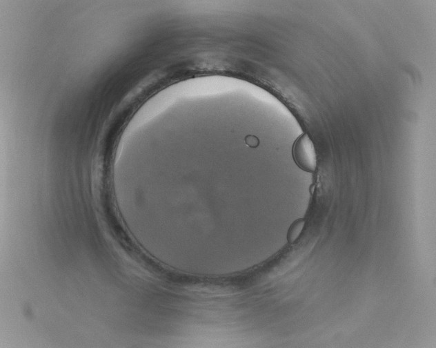 X0000115310722200911231328