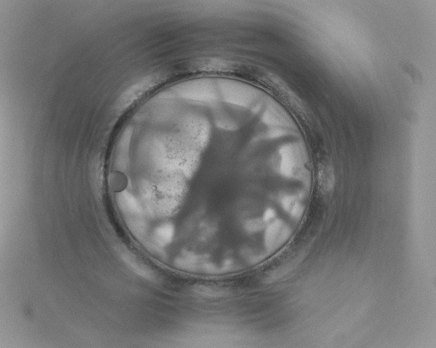 X0000115310725200911231328