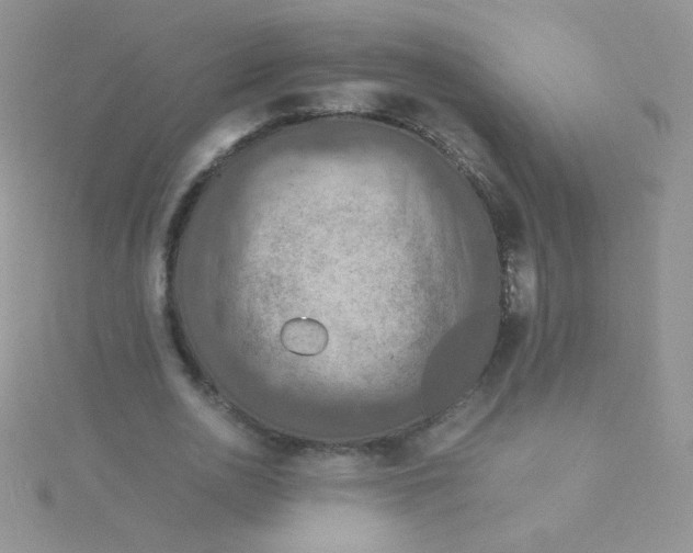 X0000115310726200911231329