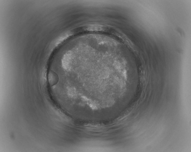 X0000115310727200911231329