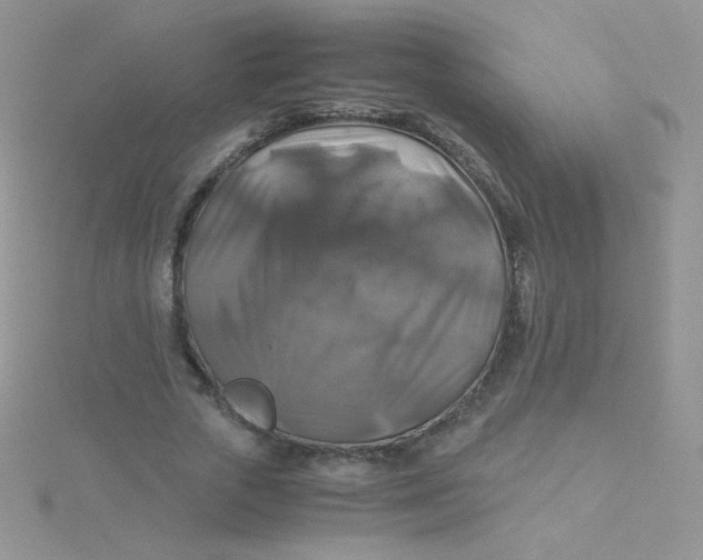 X0000115310729200911231329