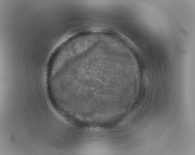 X0000115310730200911231329