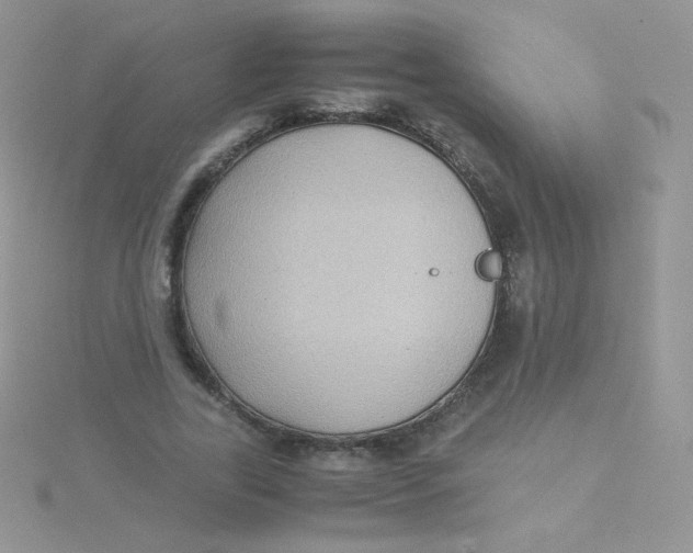 X0000115310731200911231329