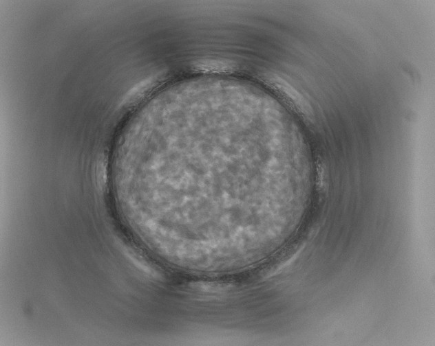 X0000115310733200911231329