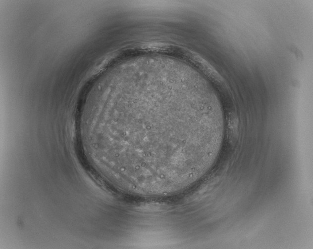 X0000115310734200911231329