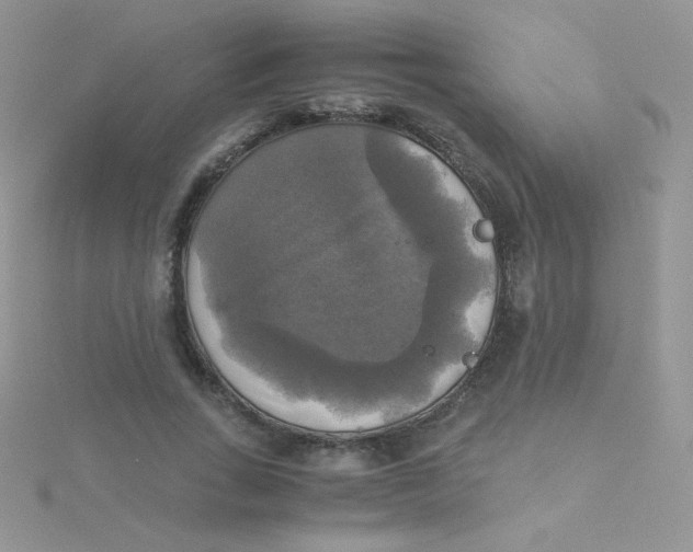 X0000115310735200911231329