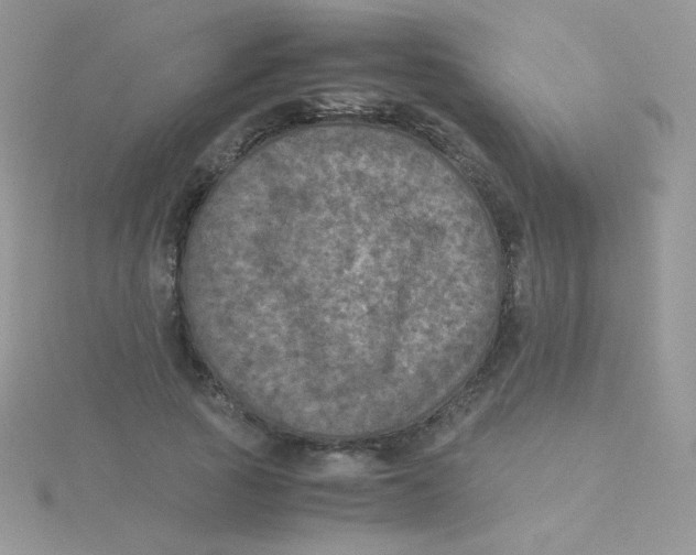 X0000115310737200911231329