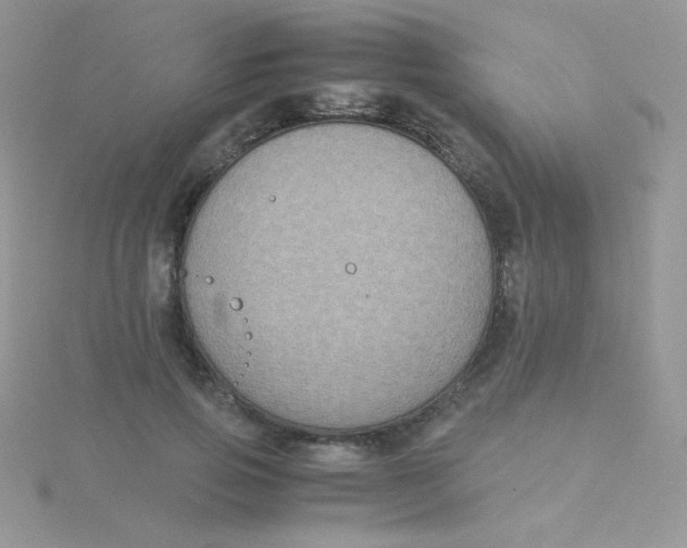 X0000115310741200911231329