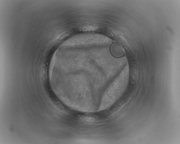 X0000115310743200911231329