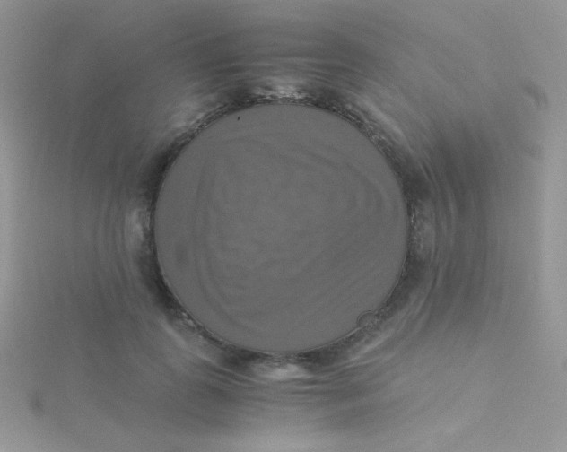 X0000115310747200911231329